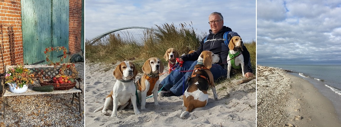 Fehmarn2018