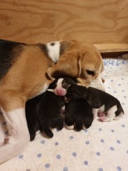 20200321_204250klein