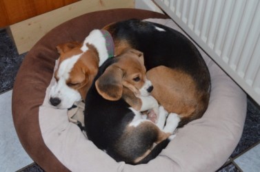 Chelsea_und_Jona