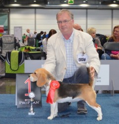 German_Winner_Show_Leipzig_2014