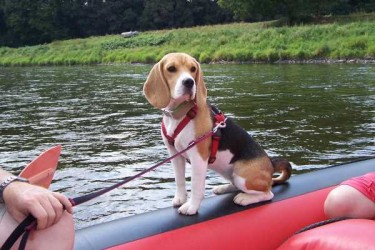 Jona_im_Schlauchboot