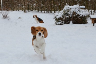 Jona_im_Schnee