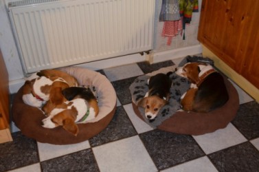 Jona_rechts