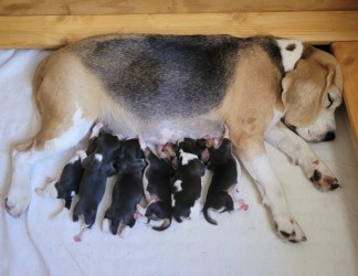 20230611_184817klein