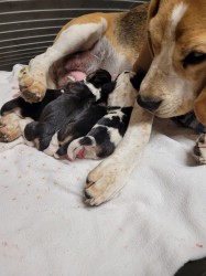 2025-05-14-19.21.33_9ad7ec13