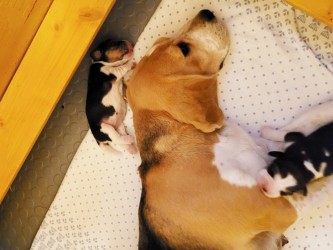 2025-05-16-19.20.10_cf1e4f16