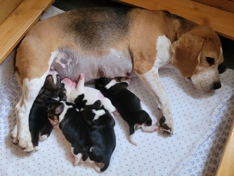 2025-05-16-19.21.30_b16cfa58