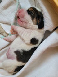 2025-05-17-19.20.09_869b0c90