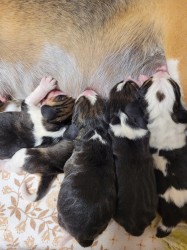 2025-05-17-19.21.32_bb109674