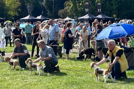 Image 2025-09-07 -11