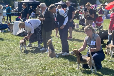 Image 2025-09-07 -12