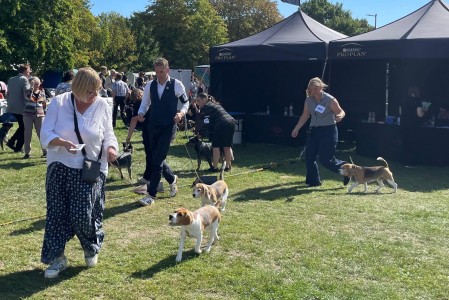 Image 2025-09-07 -13