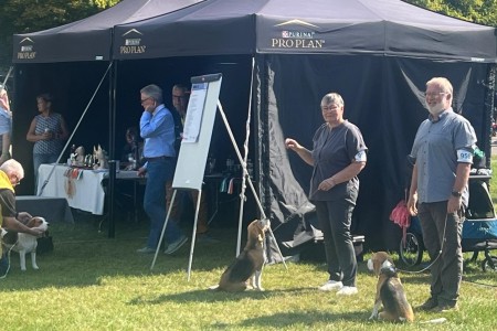 Image 2025-09-07 -17