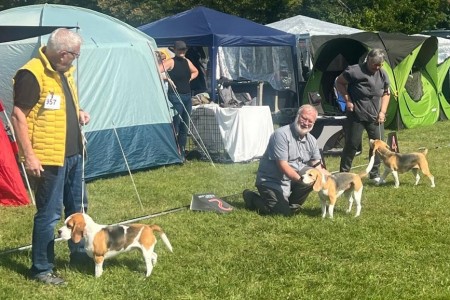 Image 2025-09-07 -18