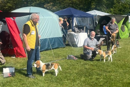 Image 2025-09-07 -3a