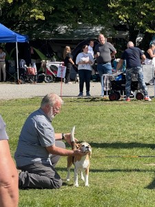 Image 2025-09-07 -4a