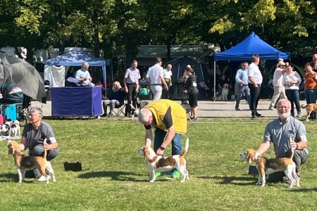 Image 2025-09-07 -5a