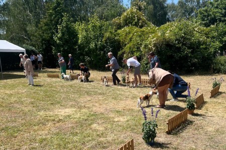 Image 2025-06-22 -2a