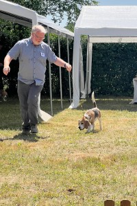 Image 2025-06-22 -4a