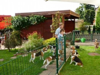 1920_3431333731643964