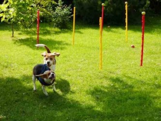 1920_3762353865353632