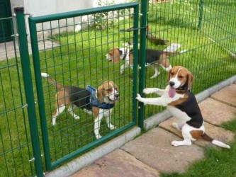 1920_3765393865643230