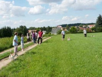 1920_6636363334346363