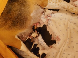 20260322_221327-klein