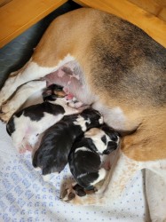 Image 2026-03-22 at 19.45.52-2