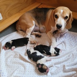 Image 2026-03-22 at 19.45.52-3