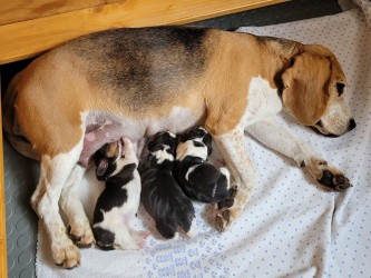 Image 2026-03-22 at 19.45.52